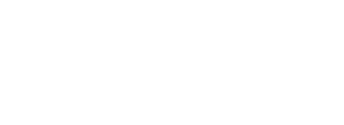 Viva Voice Academy Logo